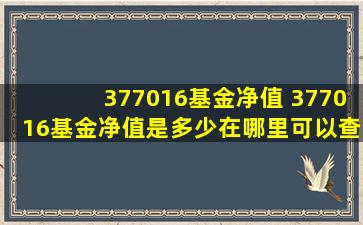 377016基金净值 377016基金净值是多少在哪里可以查询到
